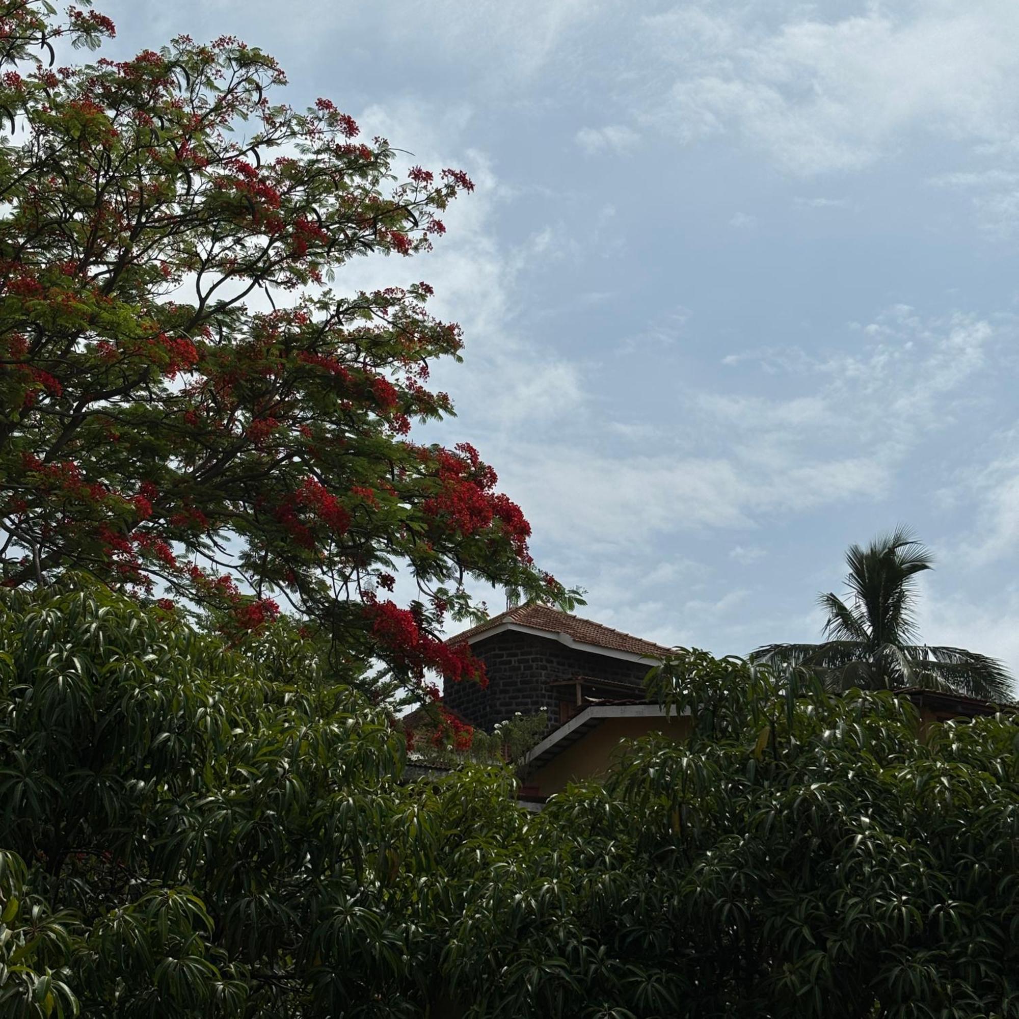 Nisarg Resort Kolhapur Exteriör bild